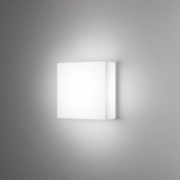 Novato Square - Wall & Ceiling AIS12409