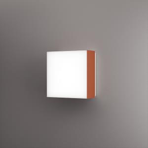 Novato Square - Wall & Ceiling