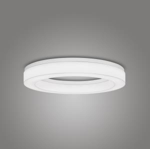 Novato Ring - Ceiling