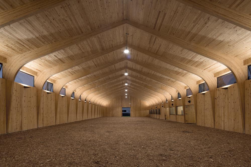 Echo Reflections - Seven Oaks Farm Arena