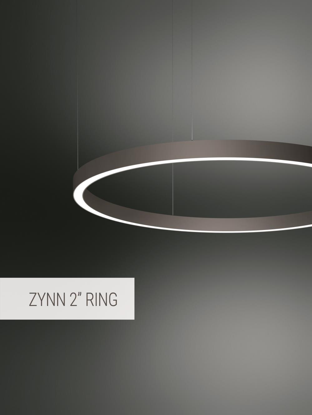 Zynn 2" Ring - Silhouette