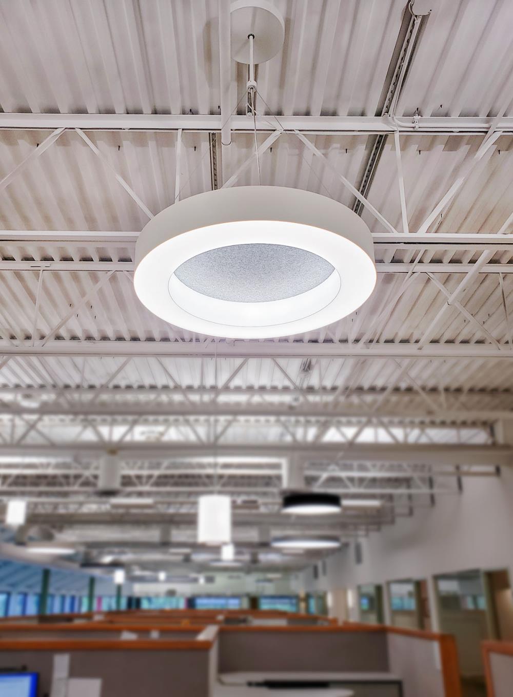 Novato Ring Acoustic - SPI Lighting Offices